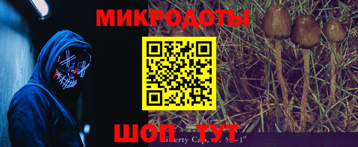 Галлюциногенные грибы Psilocybe  Вход с VPN  Новокубанск 