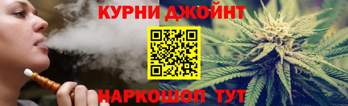 МАРИХУАНА план  Вход с VPN  Новокубанск  МАРИХУАНА SATIVA & INDICA 